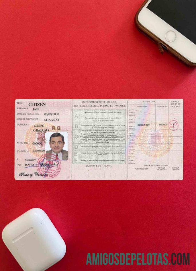 Guiné DL Photolook baixar para verificação